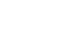 ThinkSkink